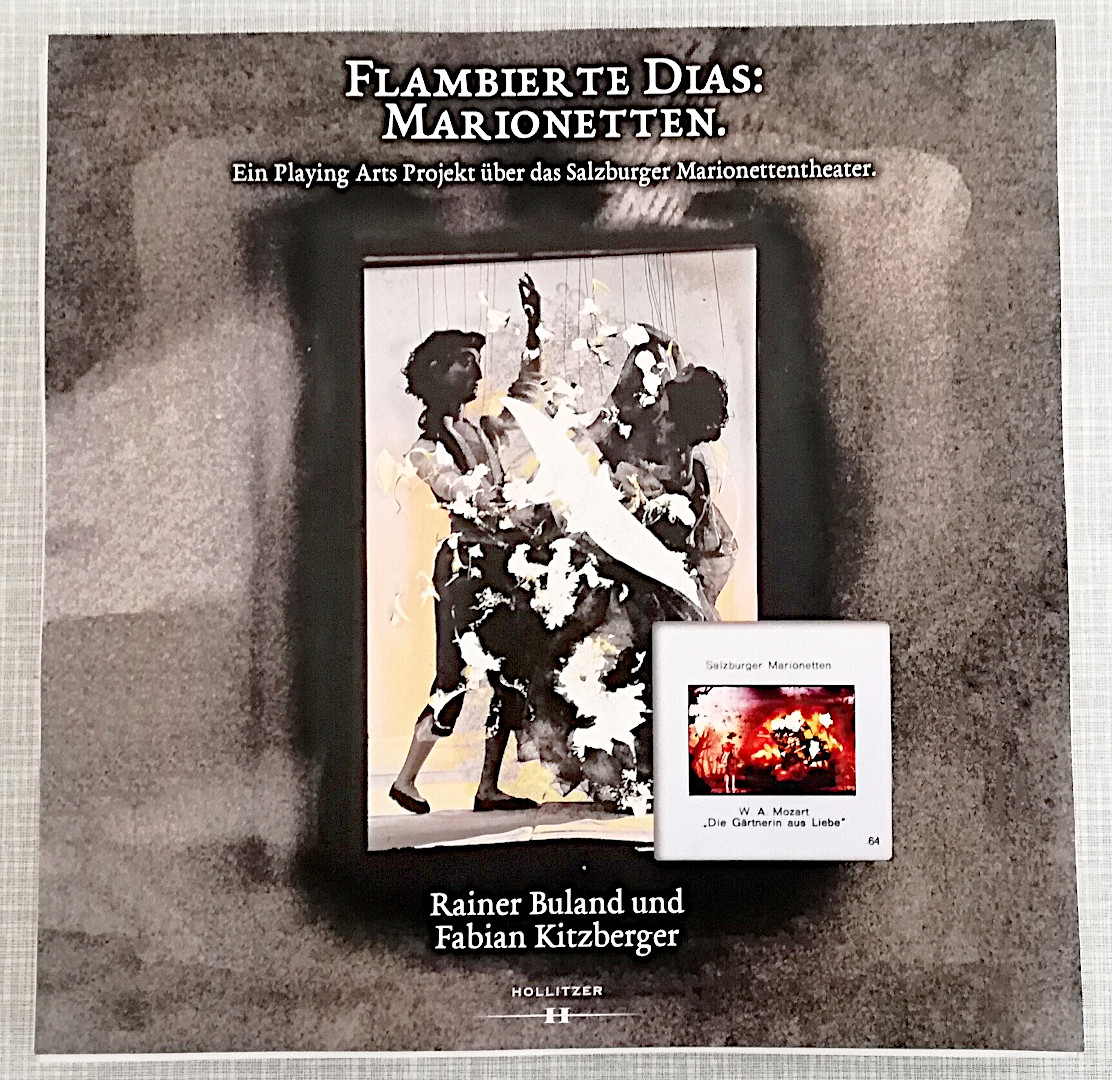 Cover des Buches Flambierte Dias: Marionetten